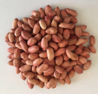 Selling raw peanuts in cheap price 