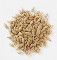 Premium Quality Barley From Japan