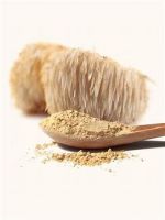 lions mane mushroom powder