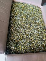 High quality dried chamomile