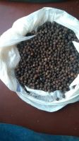 black pepper