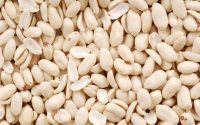 Blanched peanut