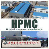 Hydroxypropyl Methyl cellulose HPMC