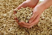 Wholesale Pure 100% Wood Pellets Pure Wood Pellet Grade A 15kg Or 1000kgs Packages Wooden Pellets