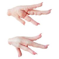 Best Quality Frozen Whole Chicken / Feet / Paws / Wings / drum stick / Frozen Chicken Feet