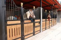 Classic European Horse Stable: Full-Access Door And Durable Bamboo