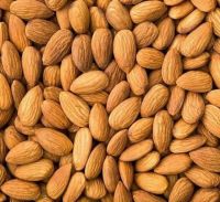 Almond Kernels/Grade A Almond Nuts/Almond Without