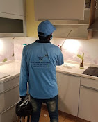 Pest Control Services Dubai