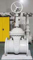 gate Valve