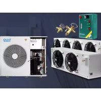 Emerson Condensing Unit Providers Cold Room Refrigeration System with Favorable Price  From China