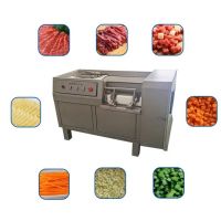 Commercial Automatic Meat Dicer for Fresh and Frozen Cuts From China