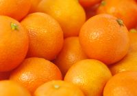 Fresh Oranges