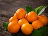 Fresh Oranges