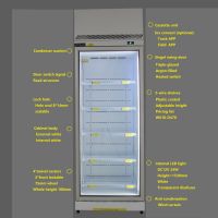 22 cubic feet display industrial freezer with panel