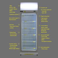 22 cubic feet Display industrial freezer