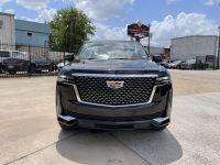 Houston Luxury Rides - Luxury Transportation Services Company in Cypress