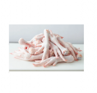 Premium frozen chicken paws for sale at low prices bulk quantities offered