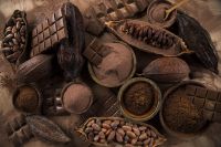 Premium cocoa beans for sale at low prices large volume orders accepted worldwide From South Africa