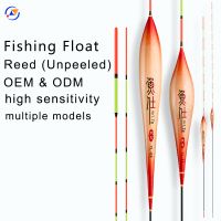 Sensitive Reed Fishing Float - Chinese Floating Capital  