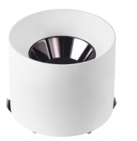 surface mounted downlight outdoor IP65