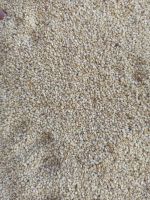 Sesame seeds