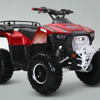 Lander 125cc Coolster Quad | Fully Automatic + Reverse | XD-125UF