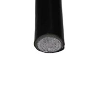 WDZ- YJLY/YJVY23 Single Multi-Core XLPE Armored Copper Wire Medium-Voltage Electrical Cable Overhead Underground Medium Voltage From China