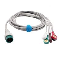 Huateng Comen Pla...