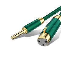 Professional Audi...