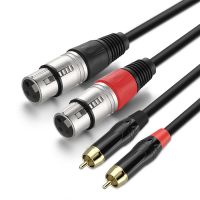 Dual XLR Female t...