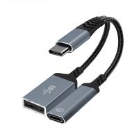 TYPE-C 1-to-2 Y-T...