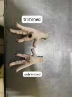 Turkey Chicken Paws B grade to HK or Vietnam From Spain