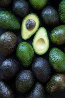 AVOCADO ALL TYPES