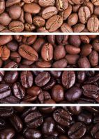 Arabica Coffee Beans