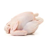 WHOLE FROZEN CHICKEN