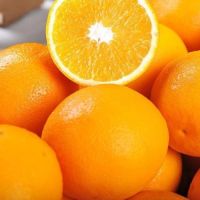 FRESH ORANGE FRUIT