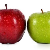Fresh Apple Fruits-Premium Quality | Bulk Export South Africa