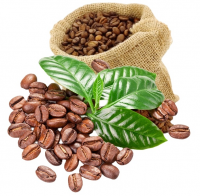 ORGANIC COFFEE BEANS (ARABICA/ROBUSTA)