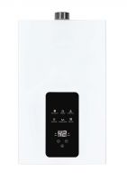 Dual power uninterruptible gas water heater