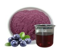 Wholesale Blueberry extract,Powdered Bilberry Extract