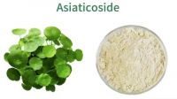 Wholesale Hydrocotyle asiatica extract Asiaticoside Madecassoside