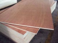 Commercial Plywood
