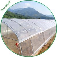 4 Year UV Resistant Clear Greenhouse Plastic Sheeting 6 mil Sun Selector Clear Greenhouse Plastic Film