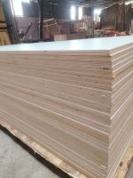 Acacia core plywood, melamine face white color matte From Vietnam