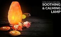 Natural Shape PInk salt lamps