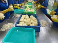 CANNED PINEAPPLE From Vietnam