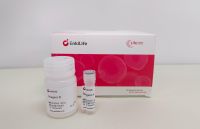 Cell/Tissue Lysis Buffer  RC0005