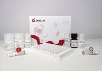 Human IL-6 (Interleukin 6) ELISA