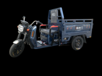 ROAD HOGS SERIES Electric tricycle for carrying cargo