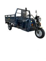 Electric tricycle for carrying cargo